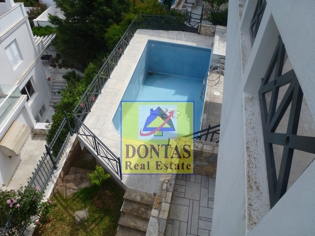 Gallery image 32