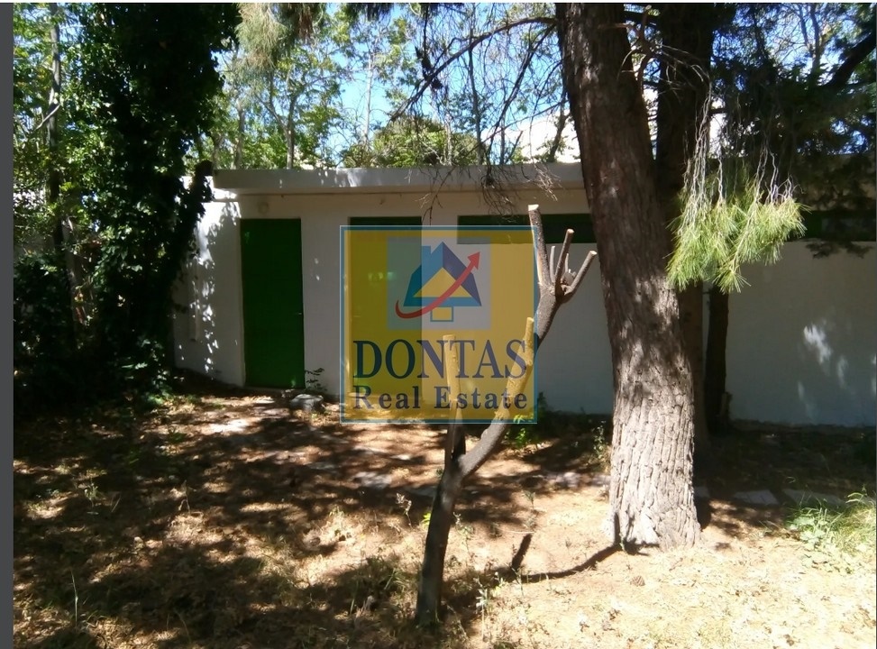Gallery image 18