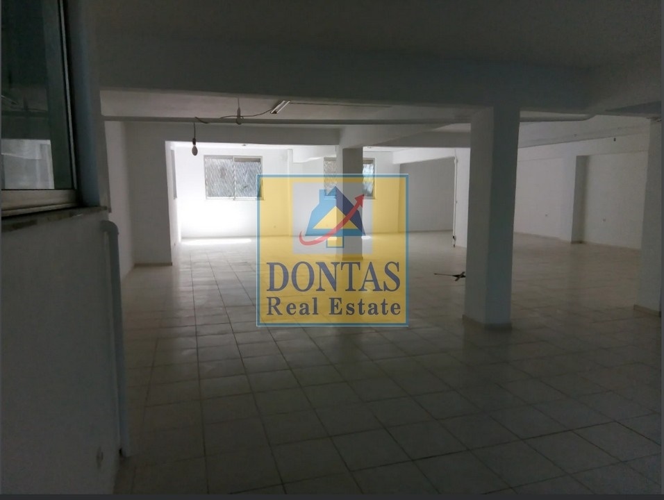 Gallery image 17