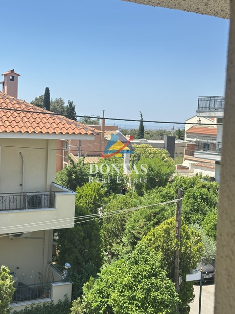 Gallery image 28