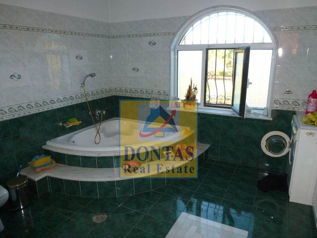 Gallery image 10