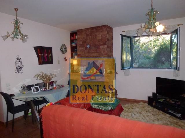Gallery image 14