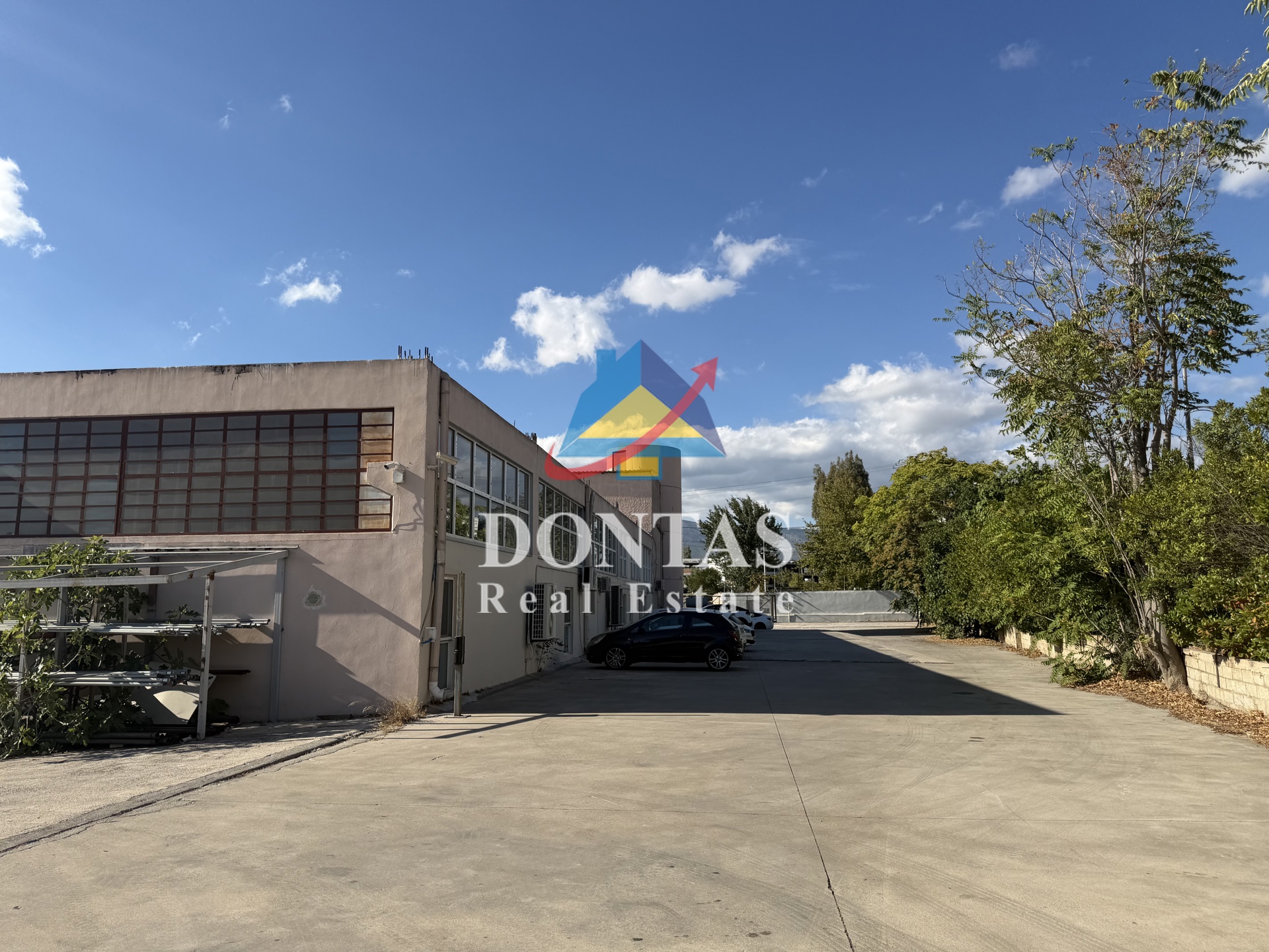 Gallery image 25