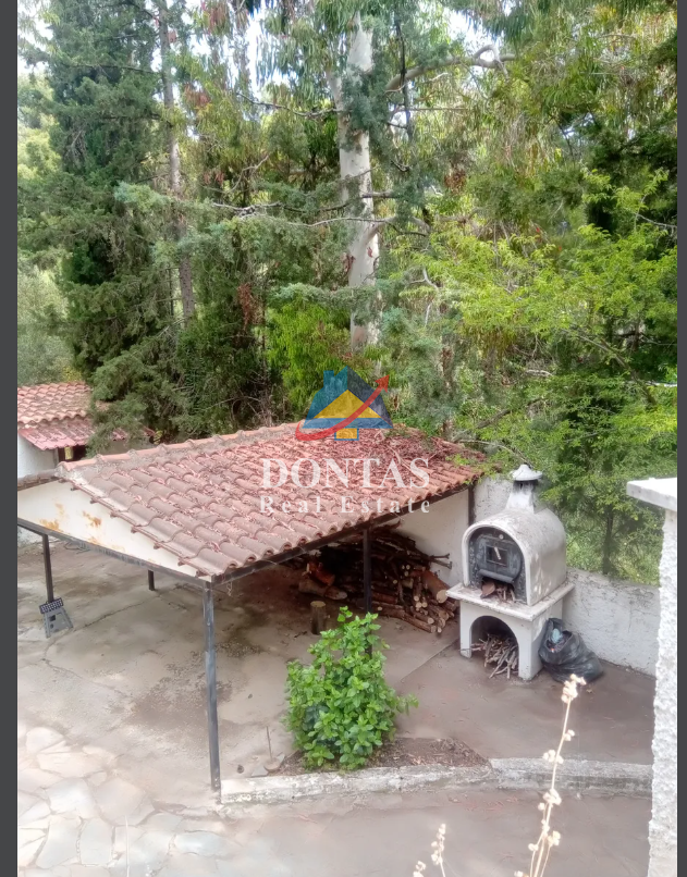 Gallery image 10