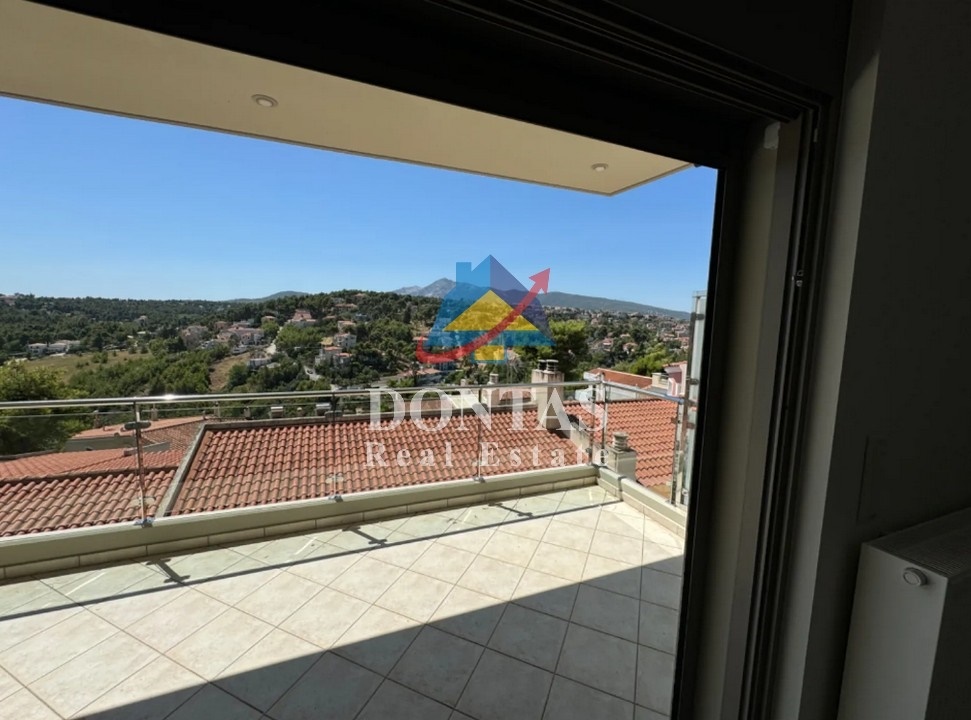 Gallery image 15