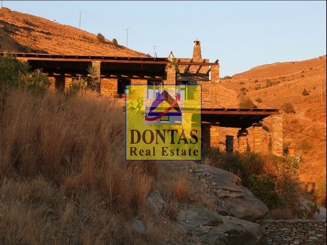 Gallery image 17