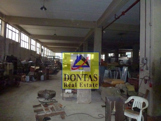 Gallery image 10