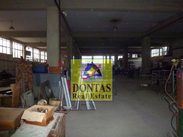 Gallery image 11