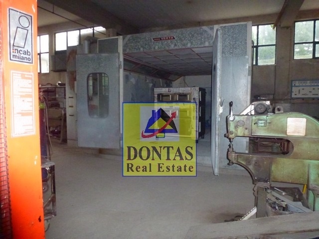 Gallery image 12