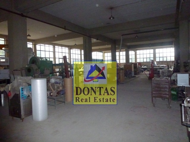 Gallery image 8
