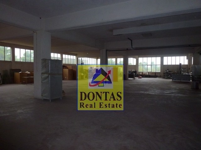 Gallery image 7