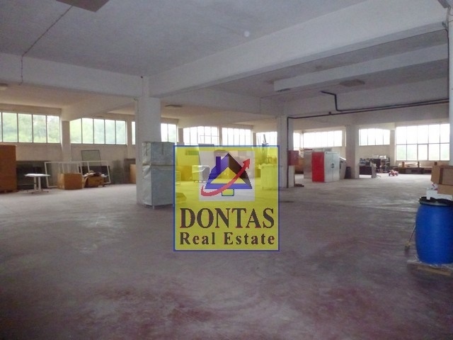 Gallery image 6