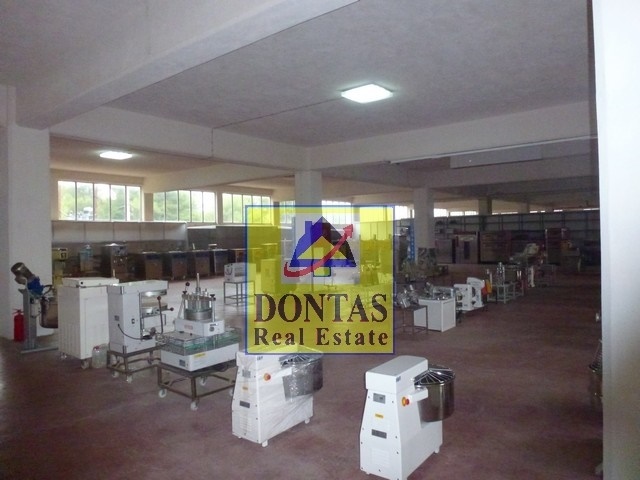Gallery image 5