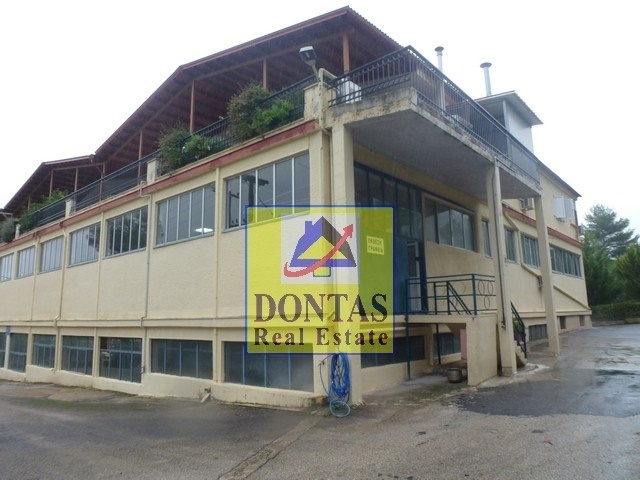 Gallery image 15