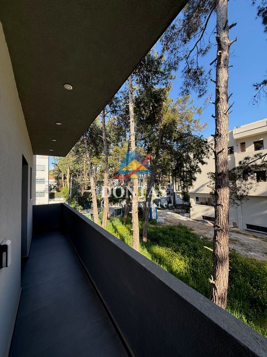 Gallery image 18