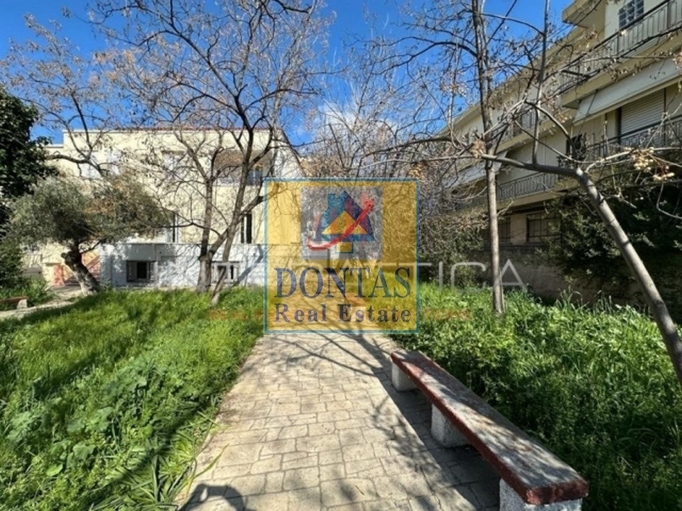 Gallery image 6