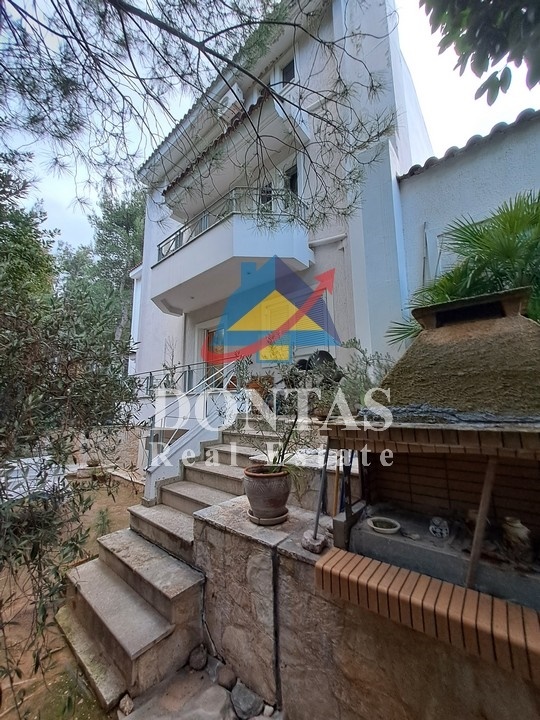Gallery image 13
