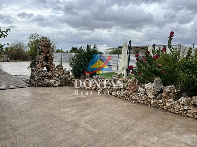 Gallery image 17