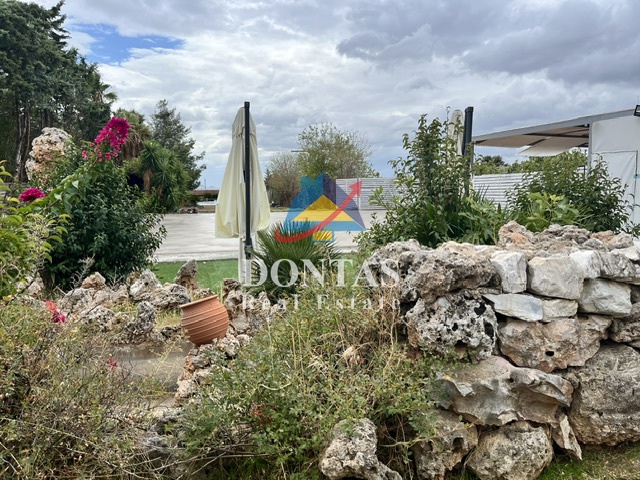 Gallery image 11
