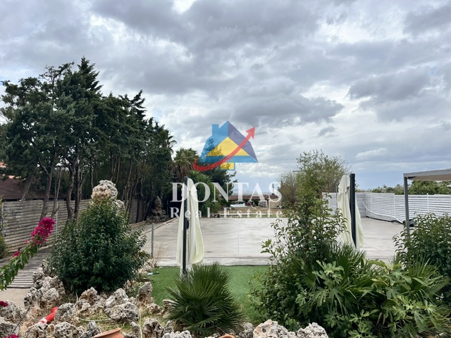 Gallery image 14