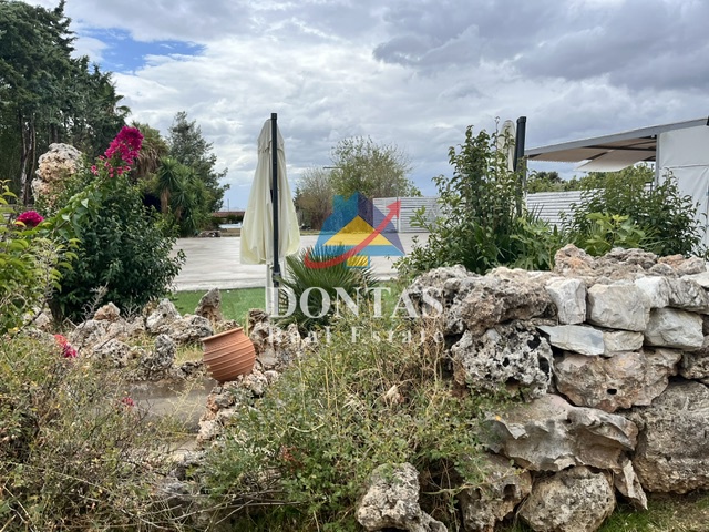 Gallery image 12