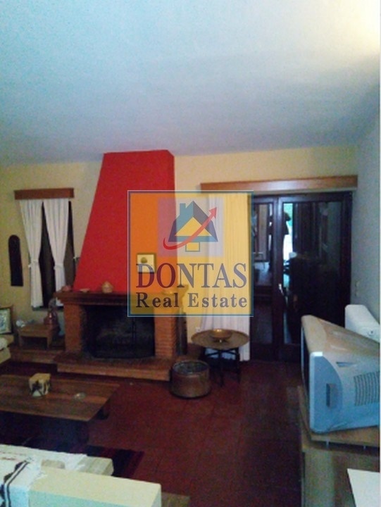 Gallery image 12