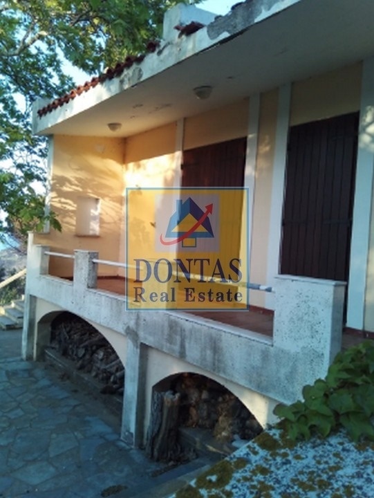 Gallery image 20