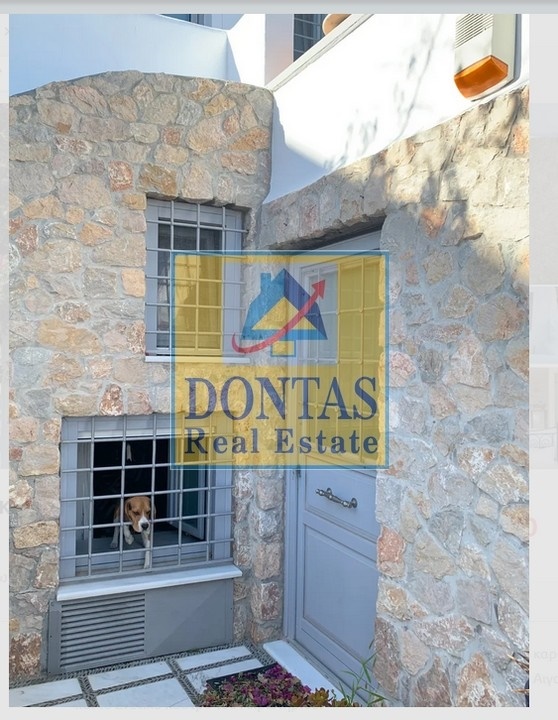 Gallery image 17