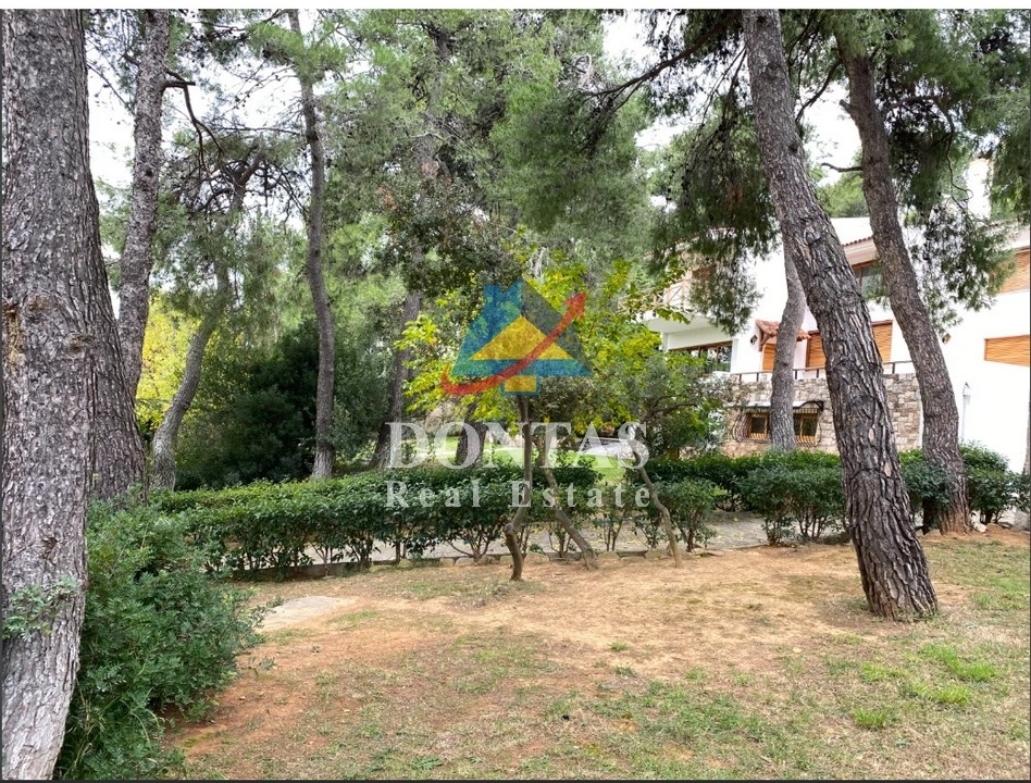 Gallery image 23