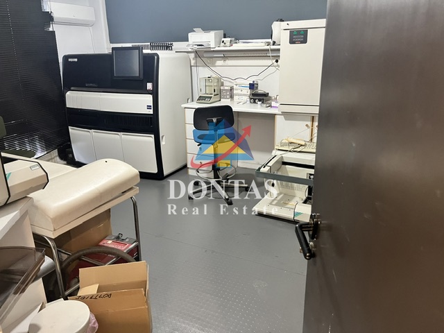 Gallery image 16