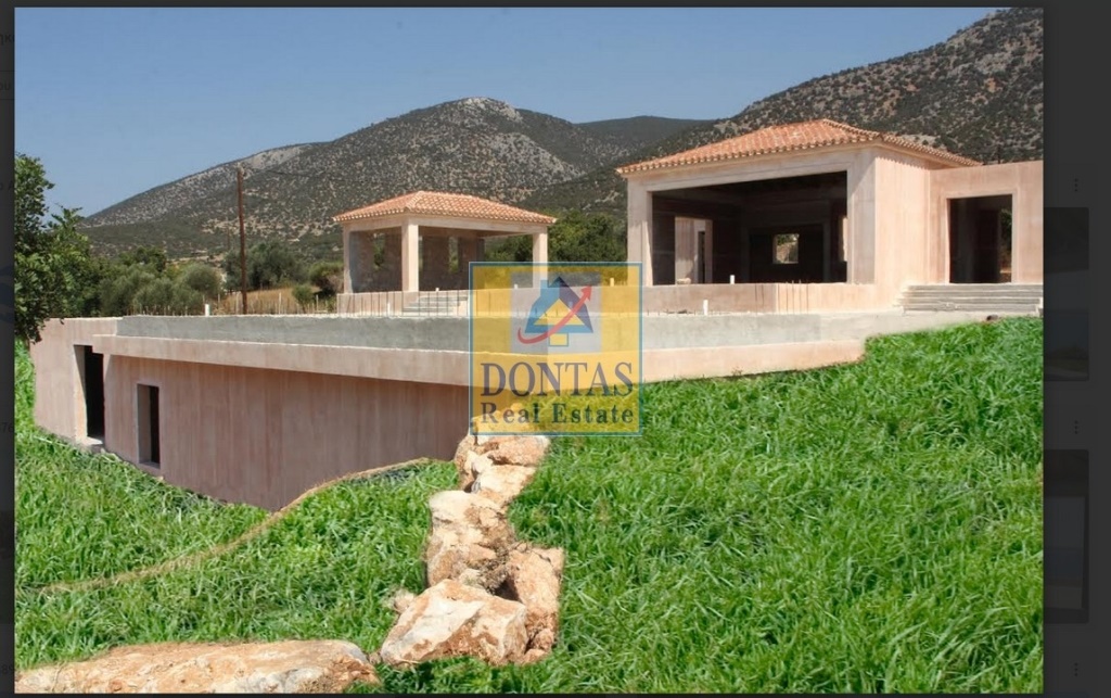 Gallery image 13