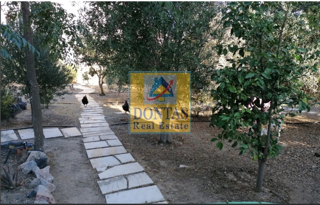 Gallery image 17
