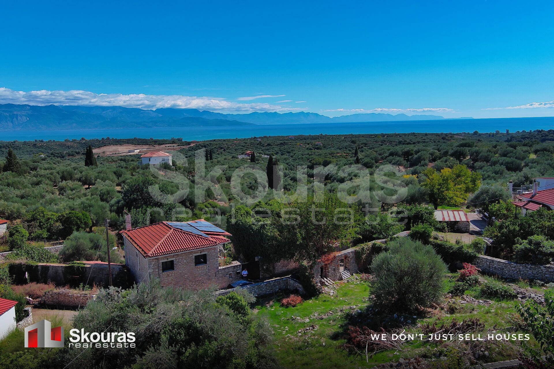 Gallery image 16