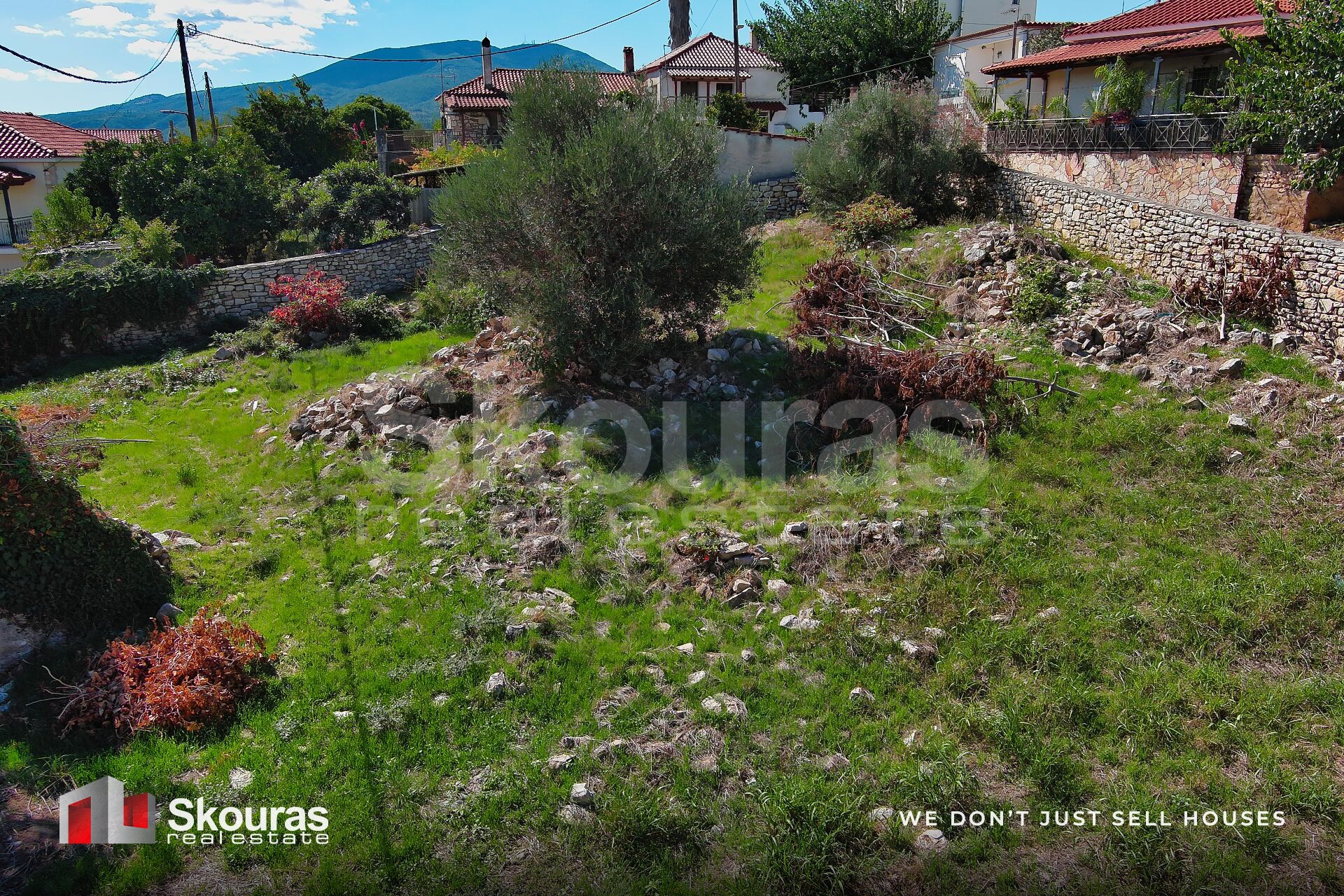 Gallery image 21
