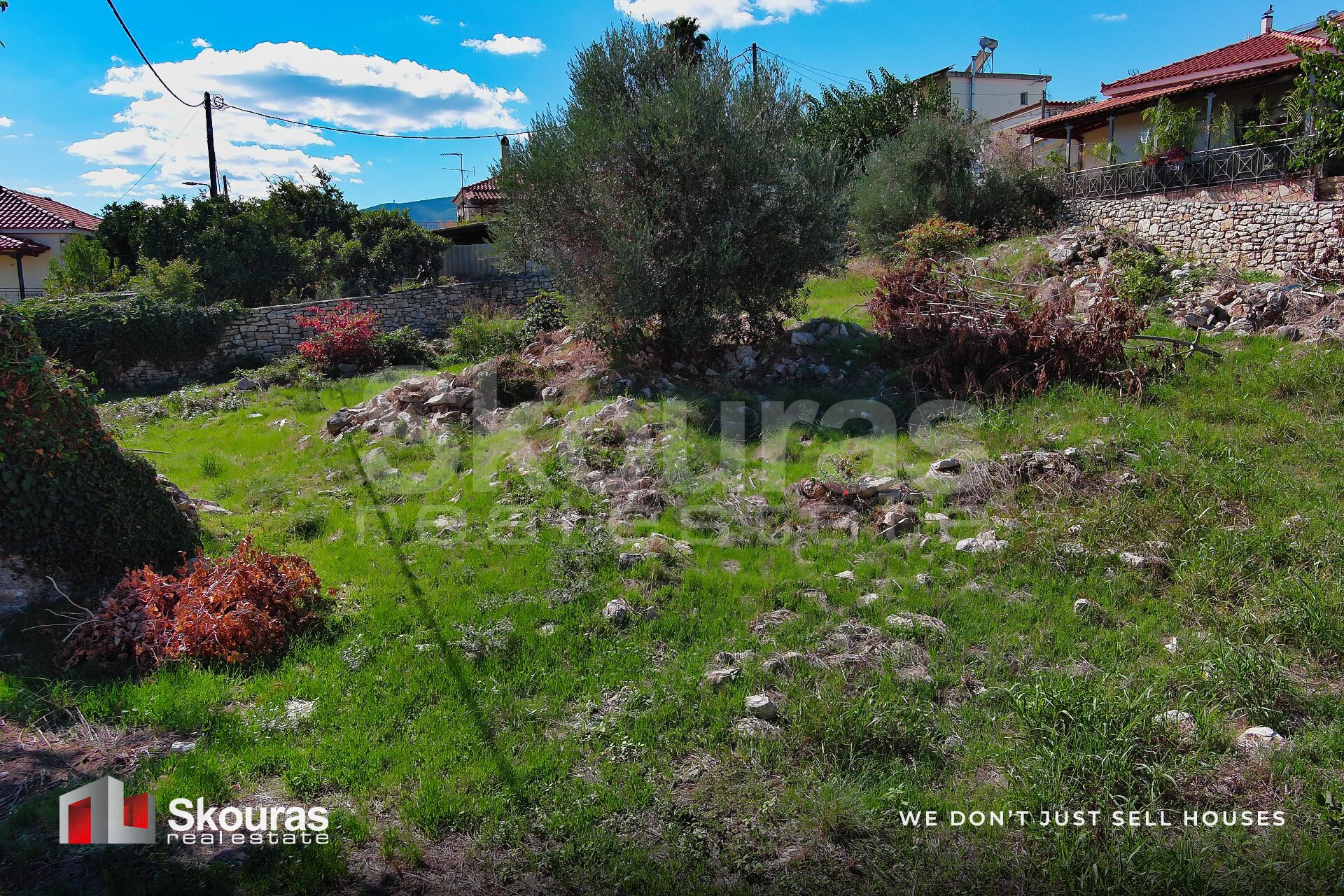Gallery image 22