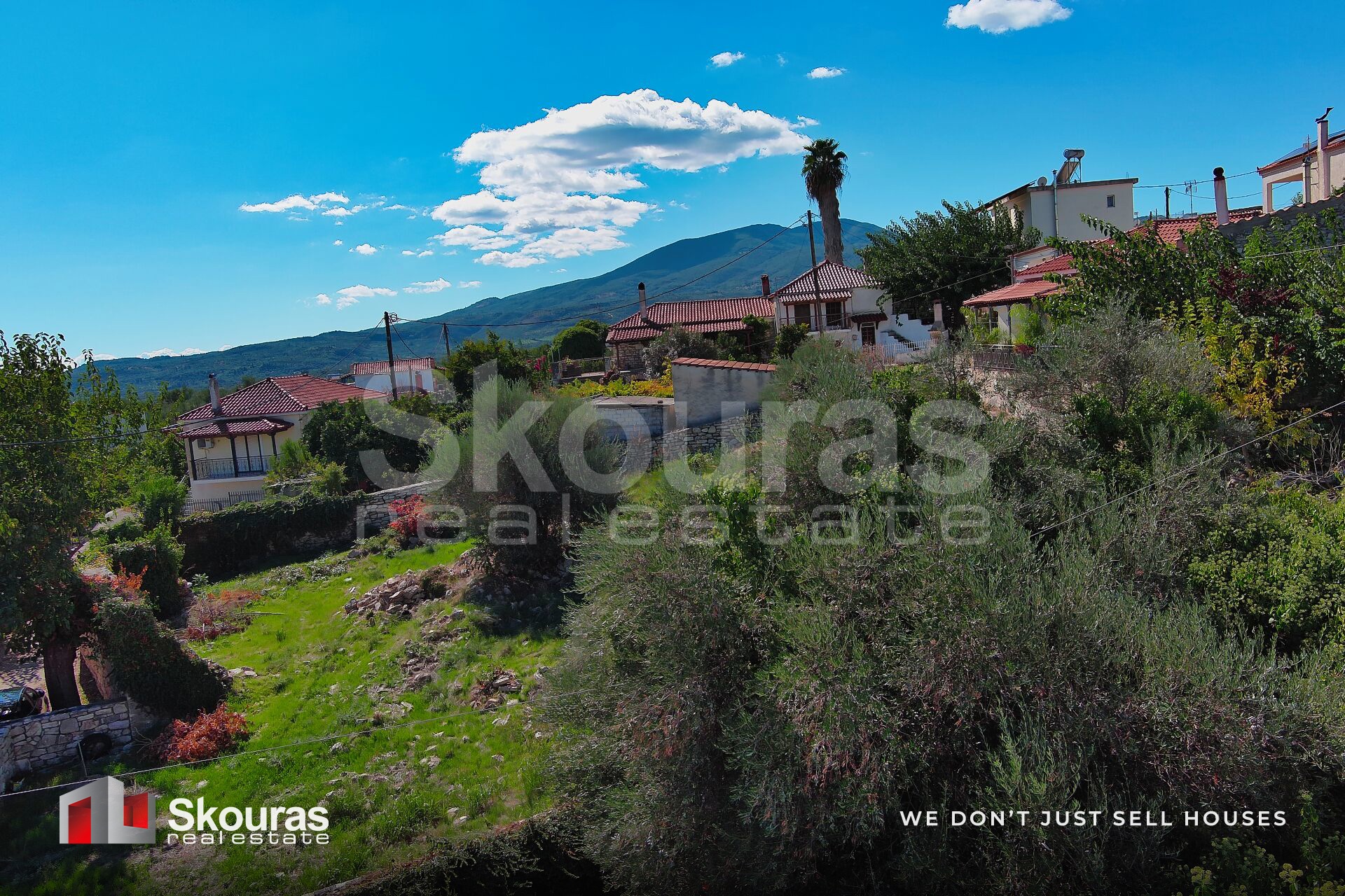 Gallery image 17