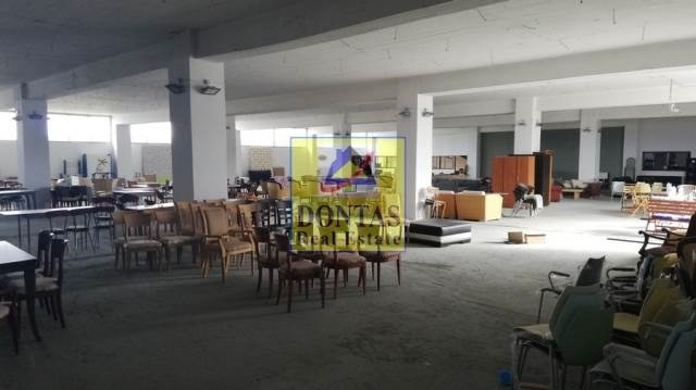 Gallery image 10