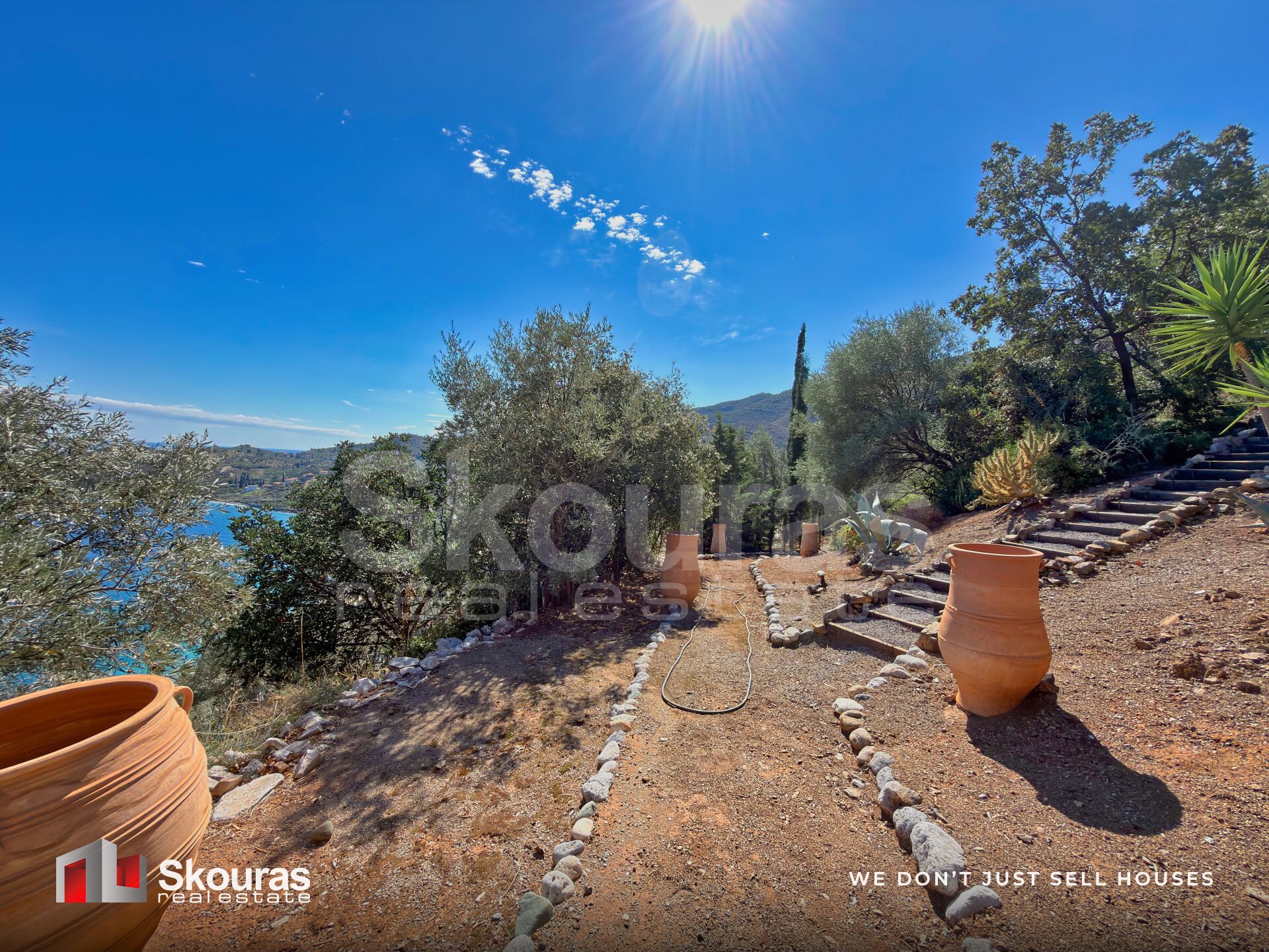 Gallery image 43