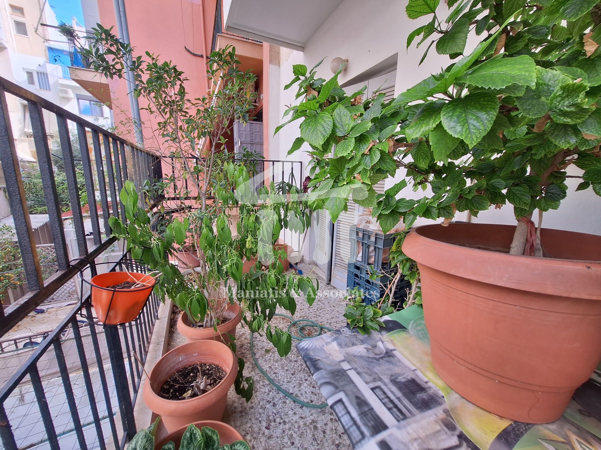 Gallery image 11