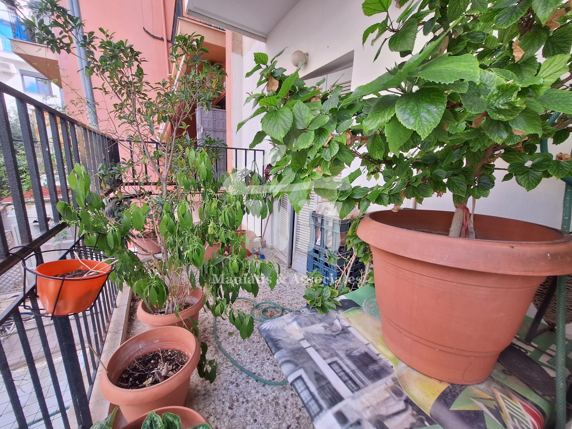 Gallery image 13