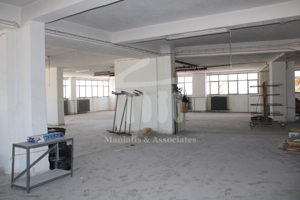 Gallery image 12