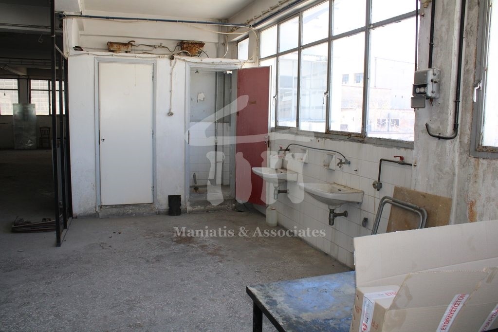 Gallery image 11