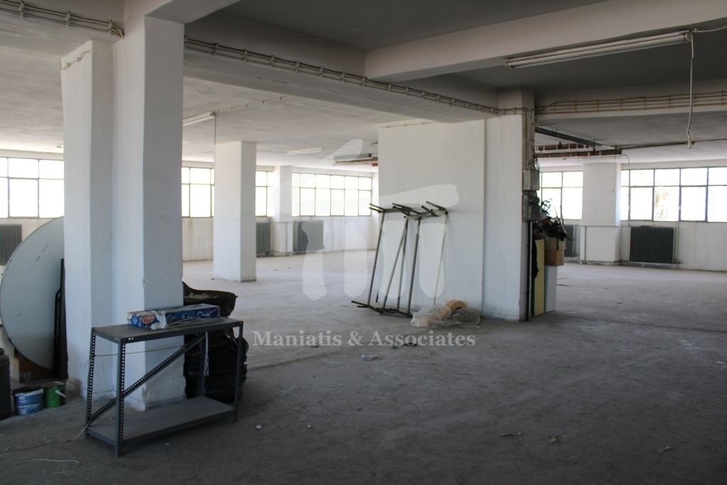 Gallery image 5