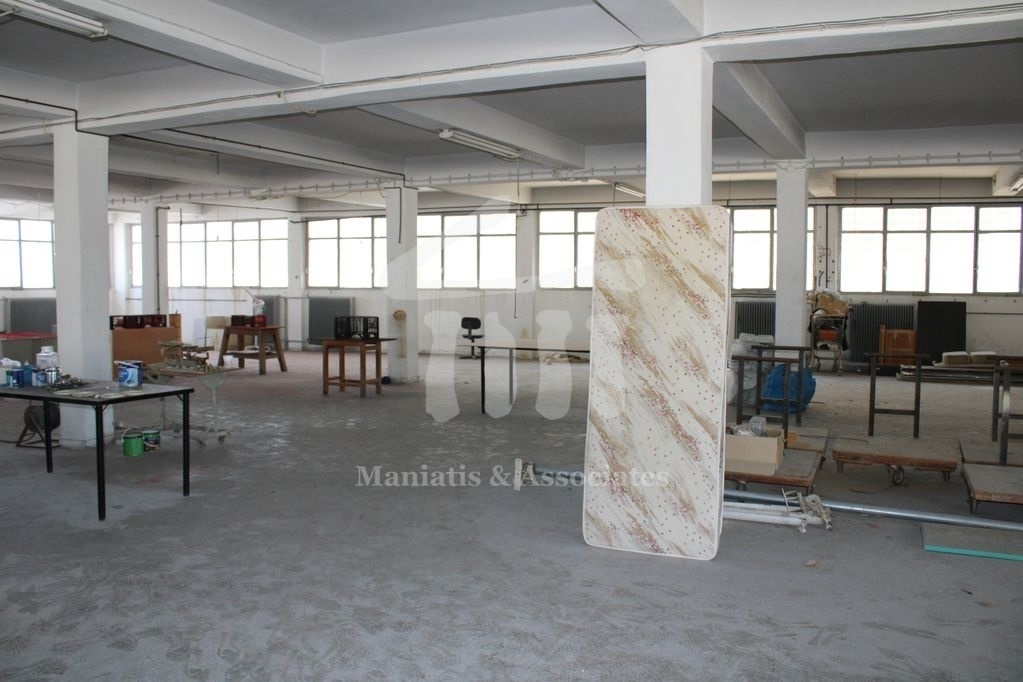 Gallery image 7