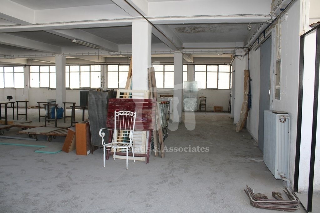Gallery image 10