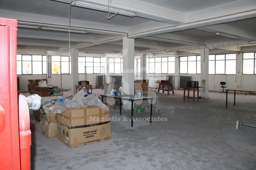 Gallery image 11