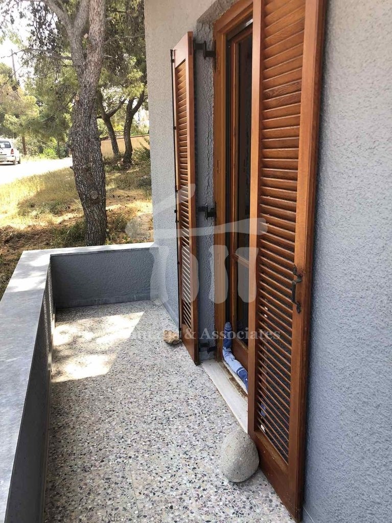 Gallery image 11