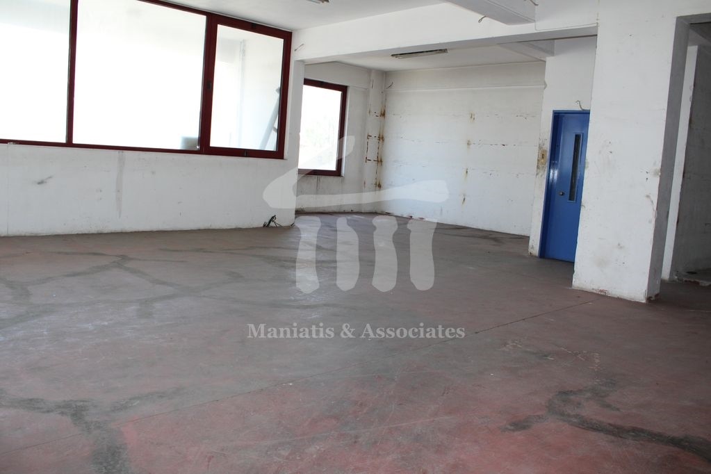 Gallery image 22