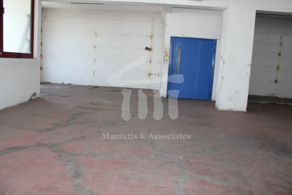 Gallery image 19