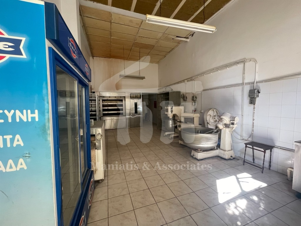 Gallery image 5